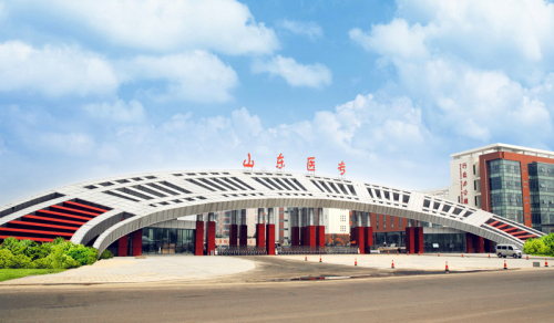 山東醫(yī)專校園能耗監(jiān)管平臺(tái)